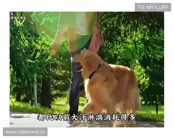 常园家的狗都比你自律