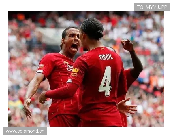 范戴克与马蒂普在防线组织下形成分散与集中结构差异